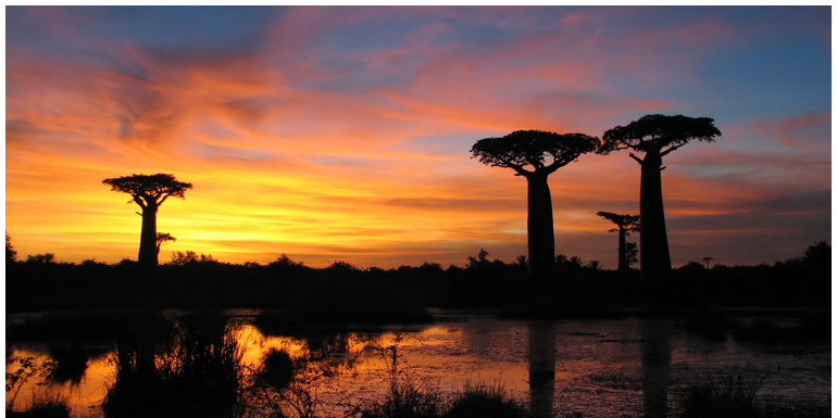 Madagascar / Madagascar